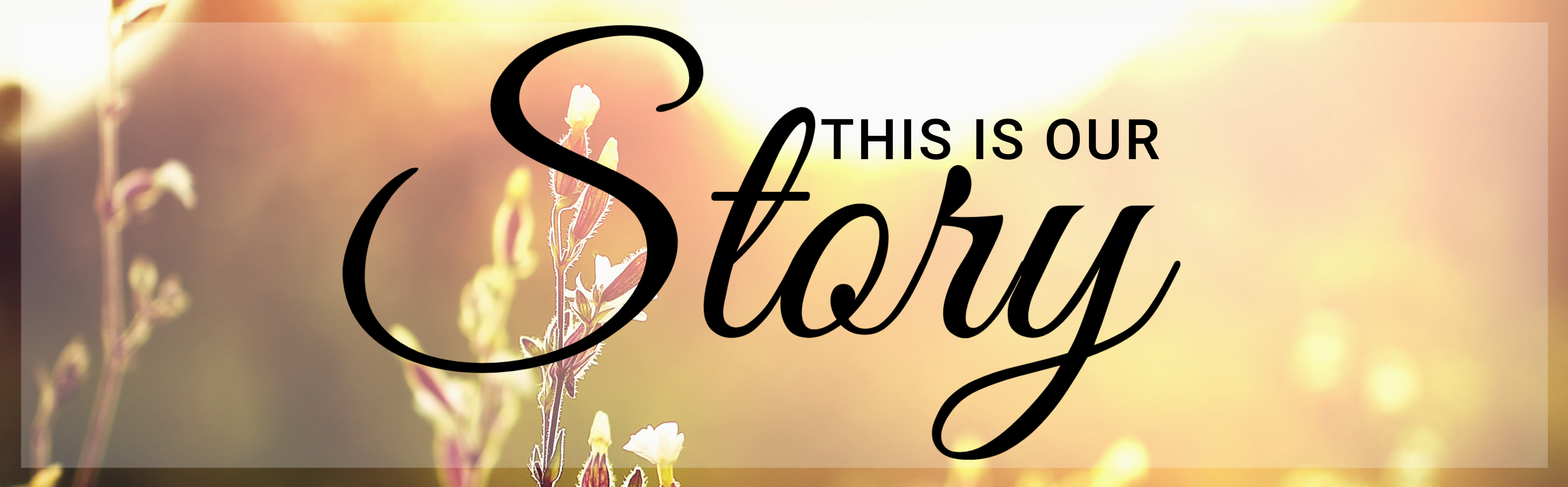 This is Our Story Banner